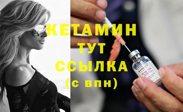 трава Аркадак